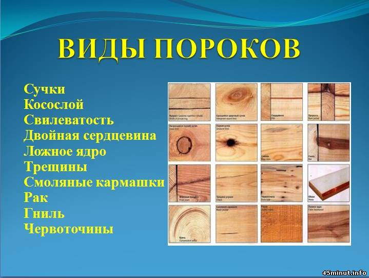 Проект пороки древесины