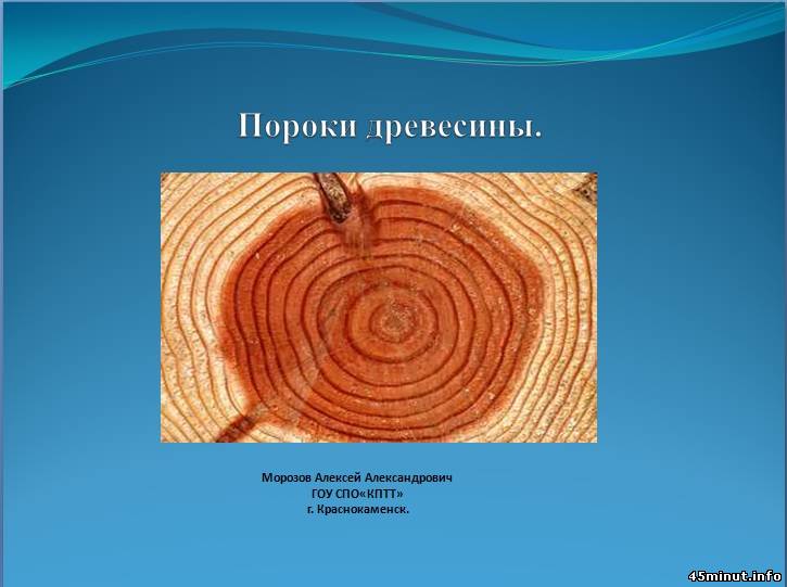 Основные пороки древесины. Стенд с пороками древесины. Рассказать о пороках древесины. Наличие пороков древесины.