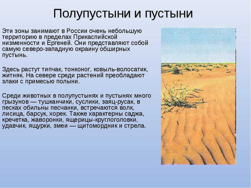Географическое положение полупустынь и пустынь в евразии. Пустыни и полупустыни России климат. Характеристика пустыни и полупустыни 8 класс. Пустыни и полупустыни России животный мир.