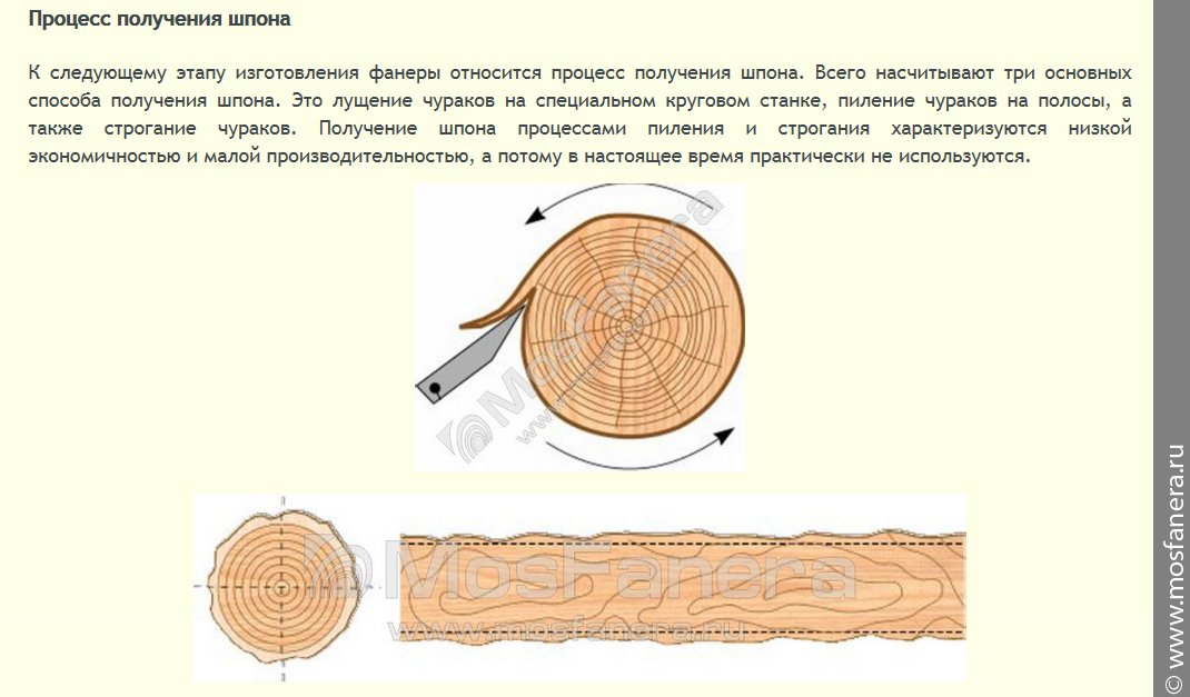Какая функция у волокон древесины