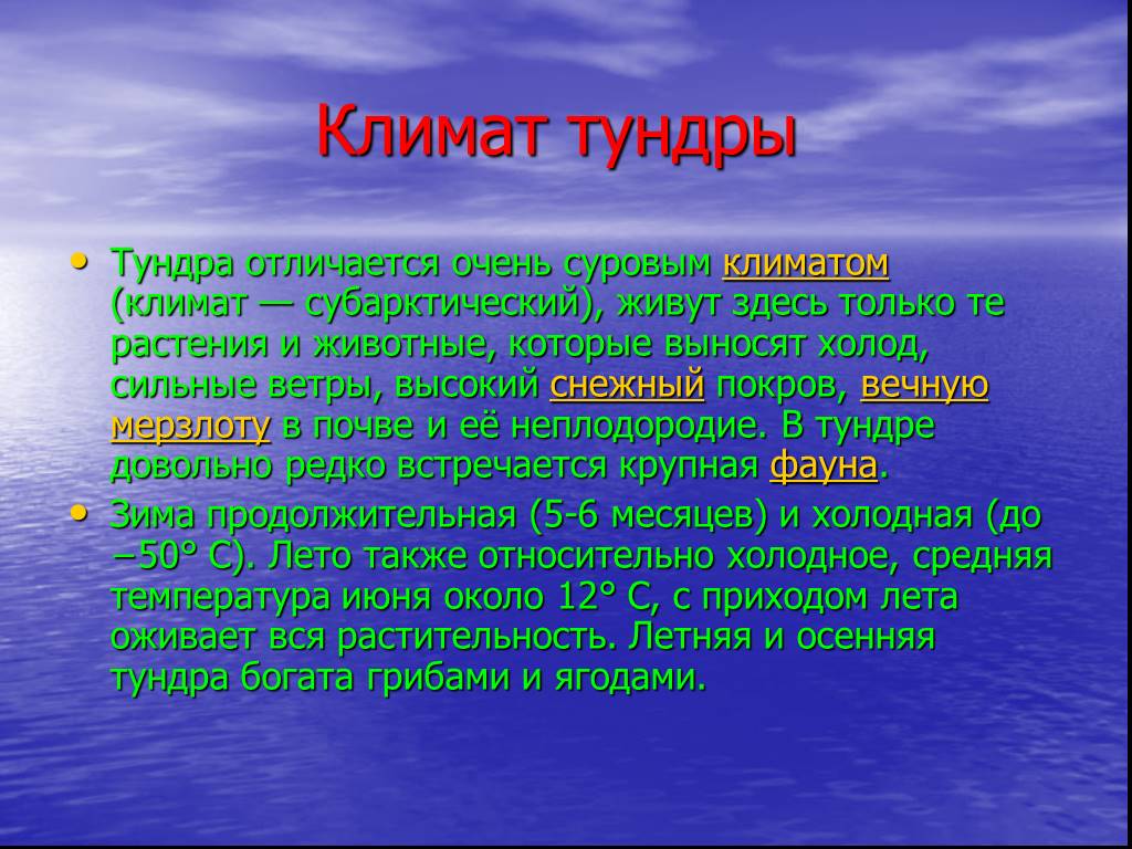 Тундра характеристика. Климат тундры. Климатические условия тундры. Тундра климатический пояс. Тундра климат почва.