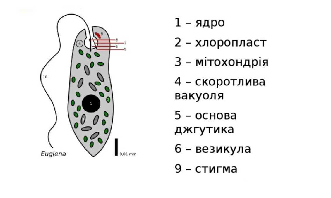 IMG 20200515 000209