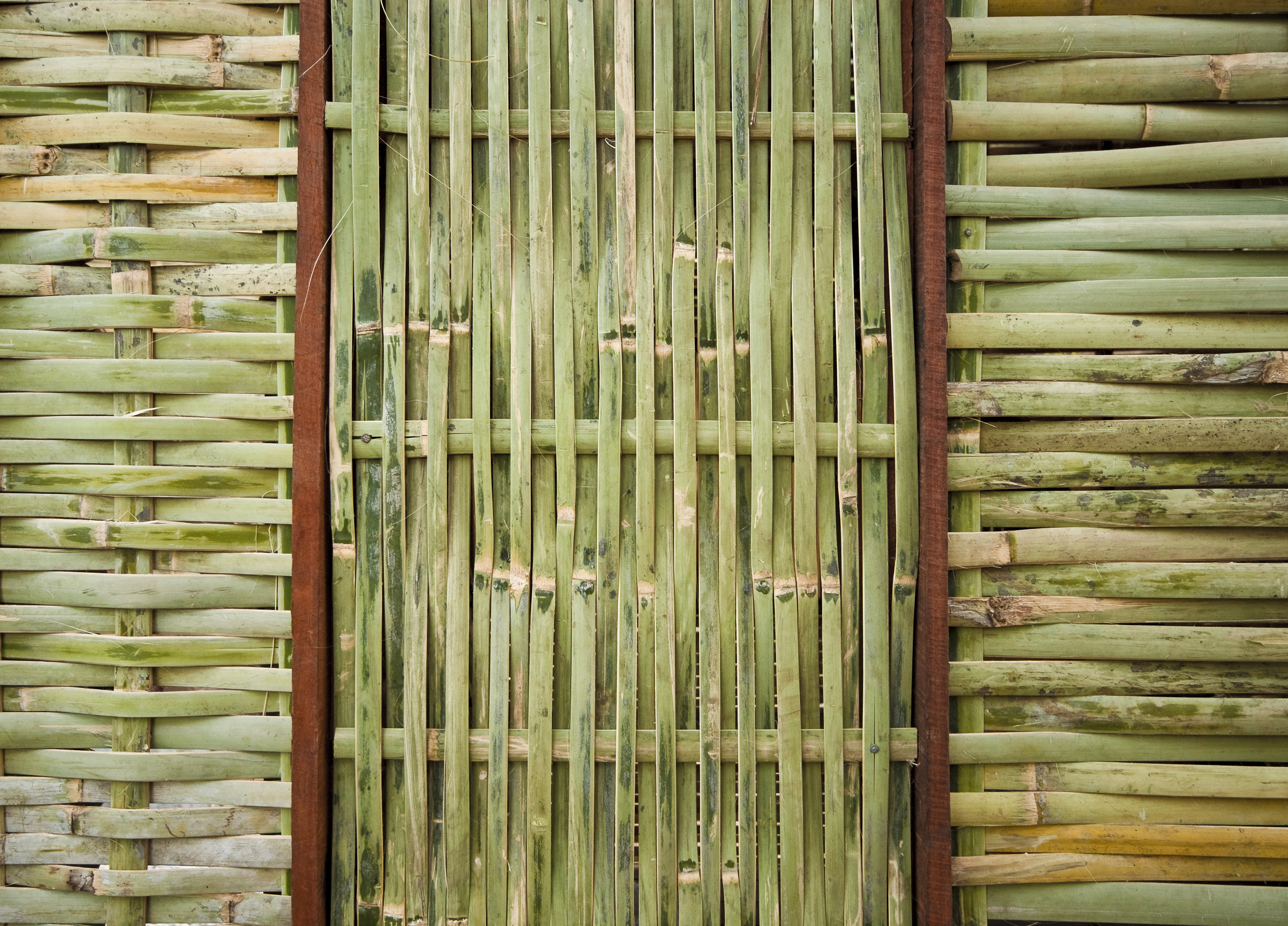 Домик из бамбуковых стволов