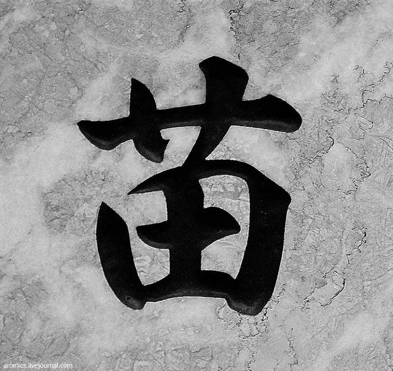 Иероглифы это. Иероглифы. Японские иероглифы. Красивые иероглифы. Красивые китайские символы.