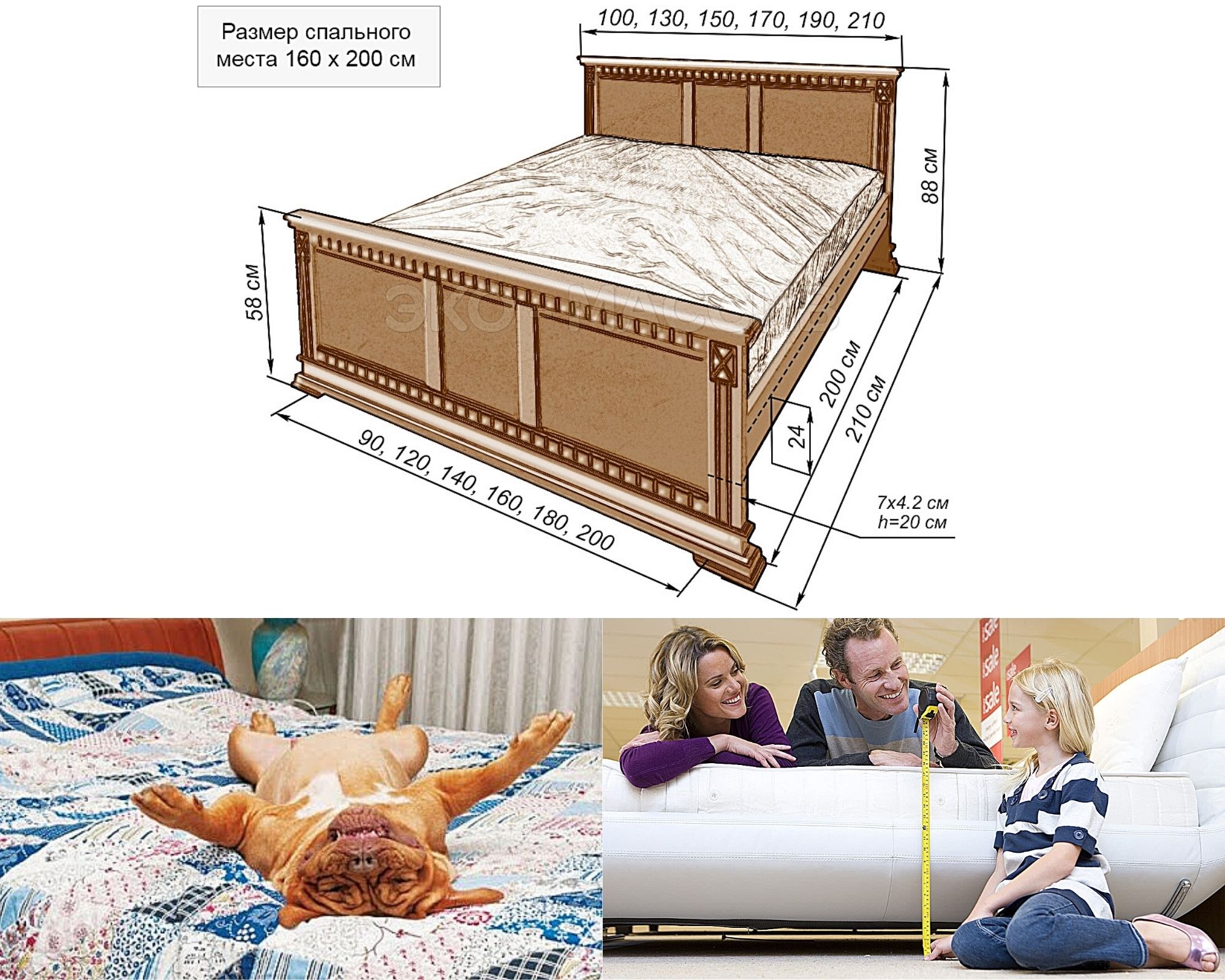 Размер двухспалки кровати стандарт