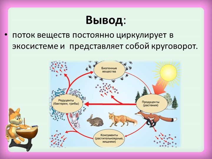 Круговорот веществ в природе 9 класс биология. Круговорот веществ и поток энергии в экосистеме.