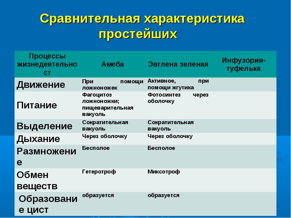 Питание и дыхание организмов. Характеристика простейших. Характеристика простейших таблица. Сравнительная характеристика типов простейших. Общая характеристика типа простейшие таблица.