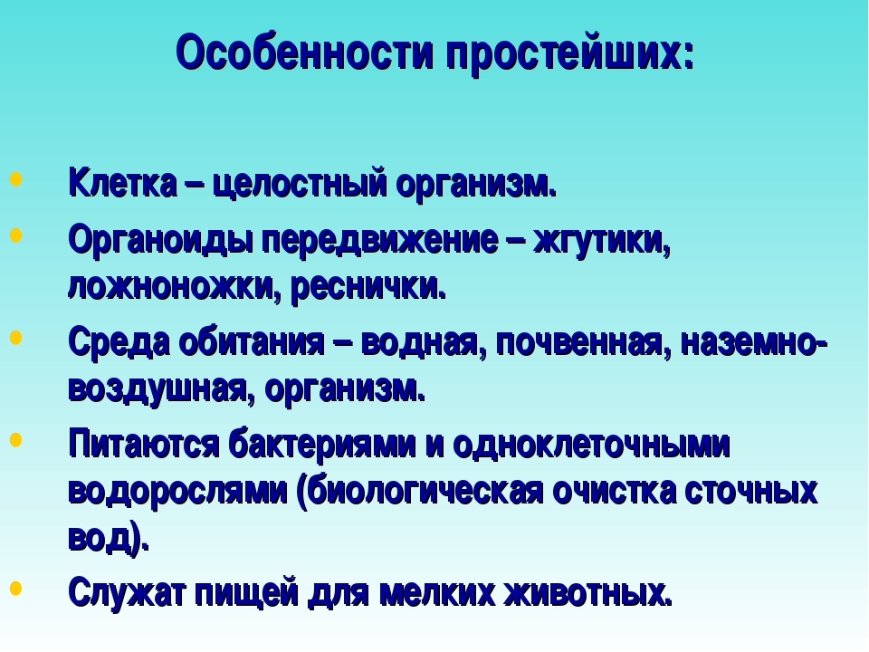 Характеристика простейших. Особенности простейших. Особенности строения простейших. Особенности организации простейших. Особенности простейших животных.