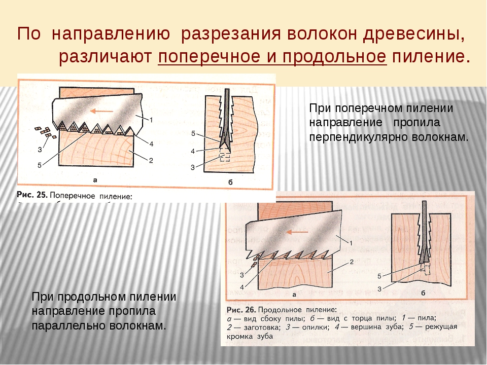 Поперек правда. Поперек волокон древесины. Направление волокон древесины. Направления резания древесины. Поперечное резание древесины.