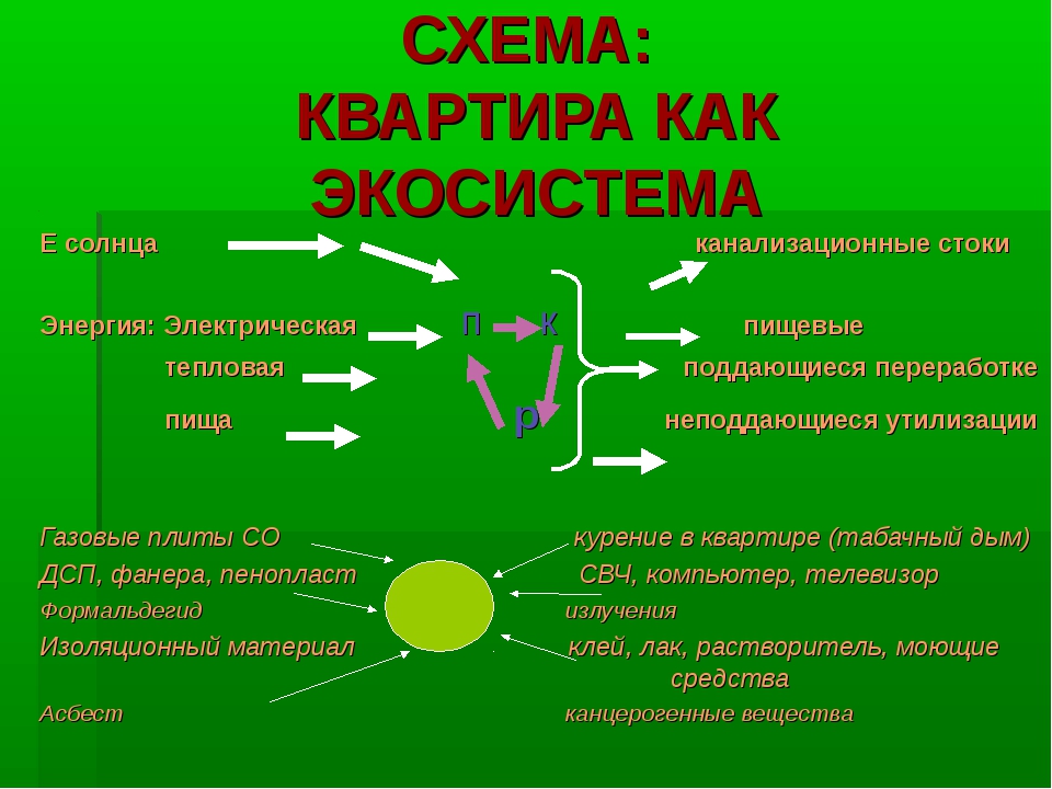 Проект на тему моя квартира как экологическая среда