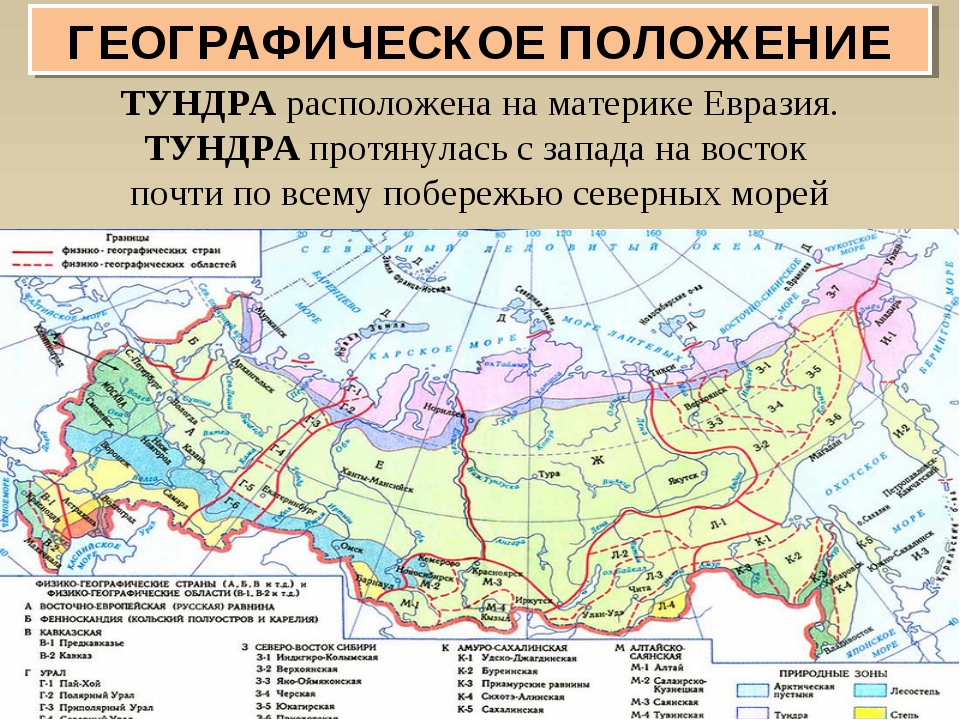 Какие природные зоны есть в евразии. Зона тундры на карте России. Географическое положение тундры в России. Географическое положение тундры в России карта. Географическое расположение тундры на карте.