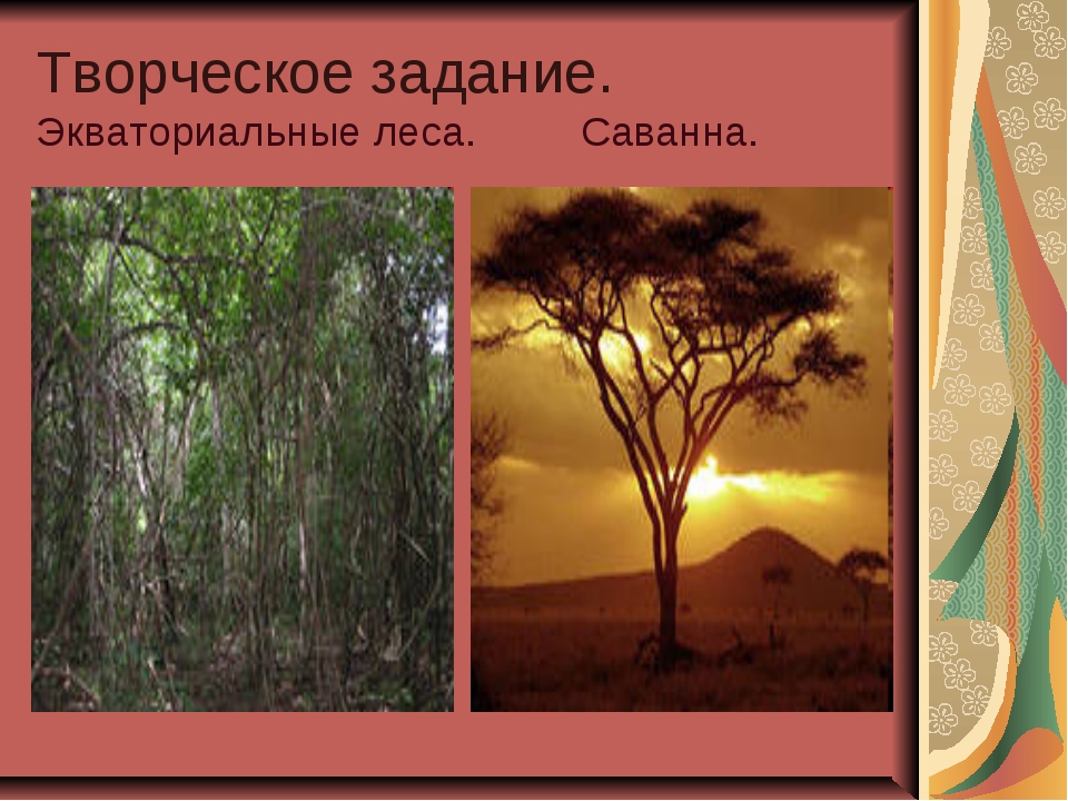 Природные зоны экваториальные леса саванны. Природные зоны экваториальные леса. Саванны пустыни экваториальные леса. Влажные экваториальные леса саванны.