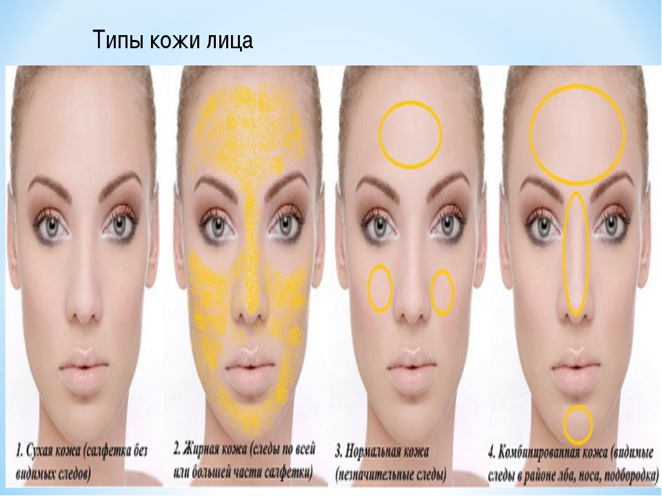 3 типа кожи лица. Типы кожи лица. Определить Тип кожи лица. Типы кожи в косметологии. Определить свой Тип кожи.