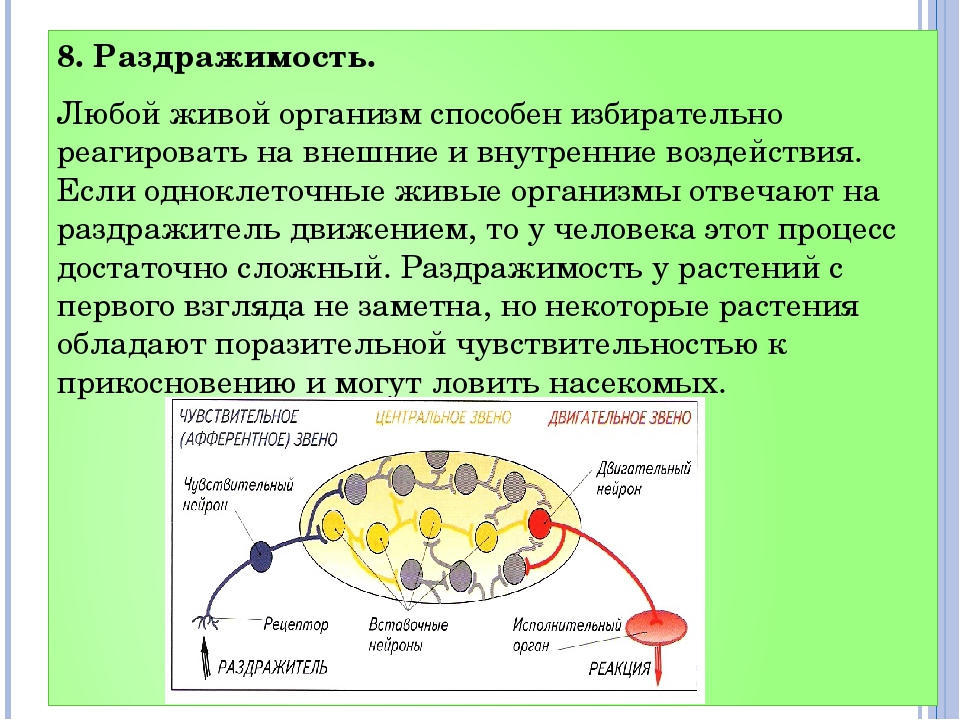 Раздражимость клетки. Раздражимость свойство живых организмов. Процесс раздражимости клетки. Свойства живого раздражимость.