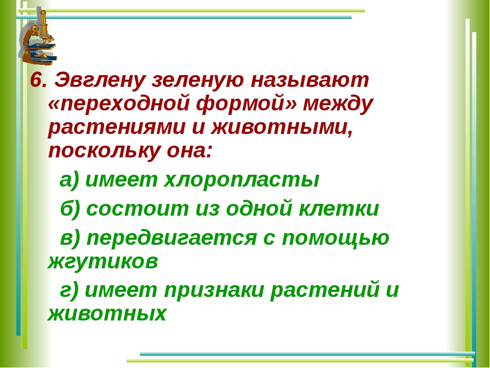 Между зеленым. Почему эвглену зеленую называют переходной формой. Переходной формой между растениями и животными. . Эвглену зеленую называют «переходной формой», поскольку она. Эвглена зелёная называют переходной формой.