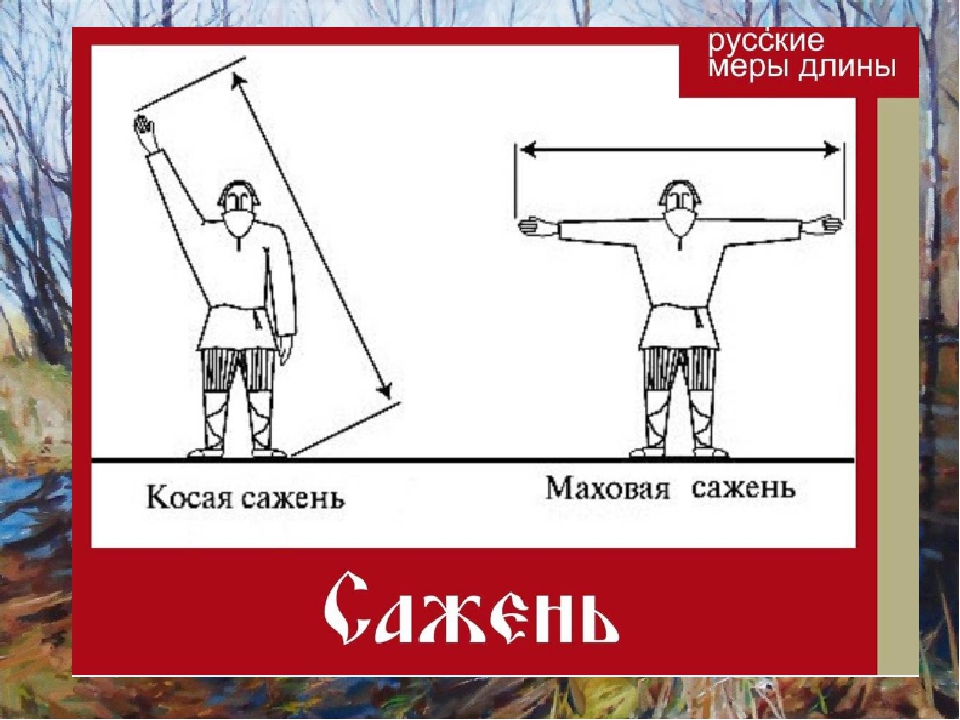 Косая сажень в плечах это сколько в сантиметрах