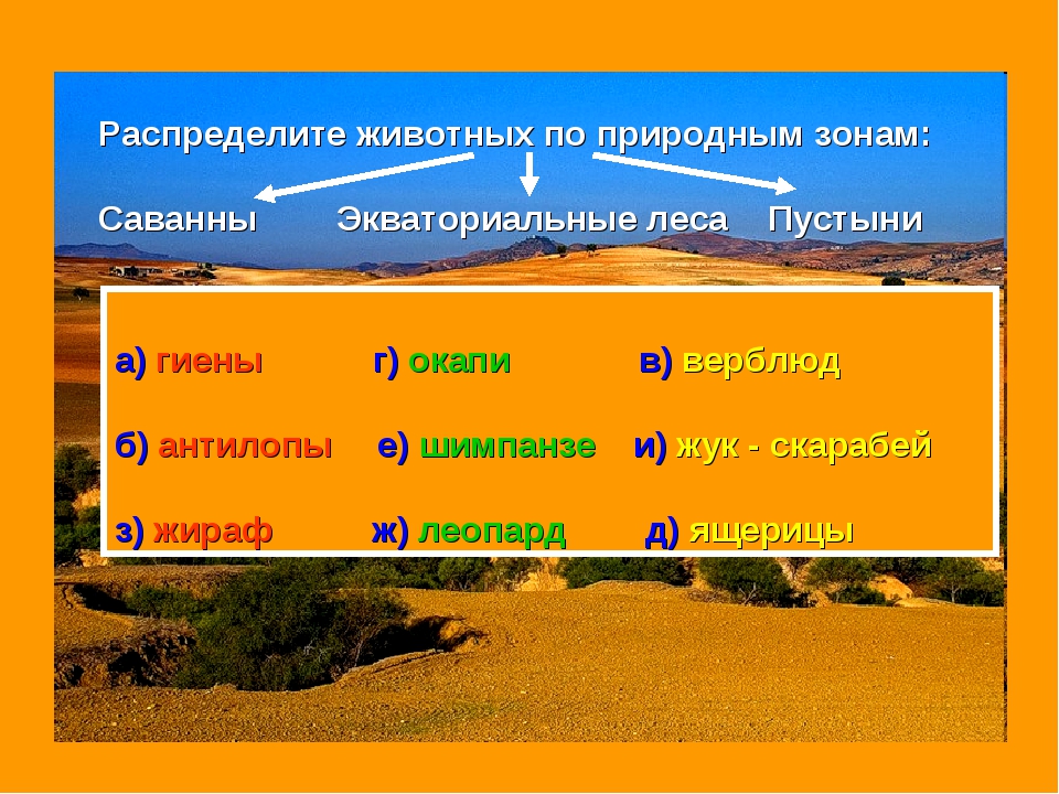 Распредели животные по природным зонам. Природные зоны саванны и пустыни. Экваториальные леса саванны тропические пустыни таблица. Территории природной зоны саванны на карте. В какой из указанных природных зон саванны