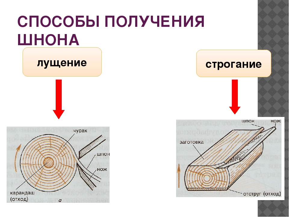 Виды шпона рисунок