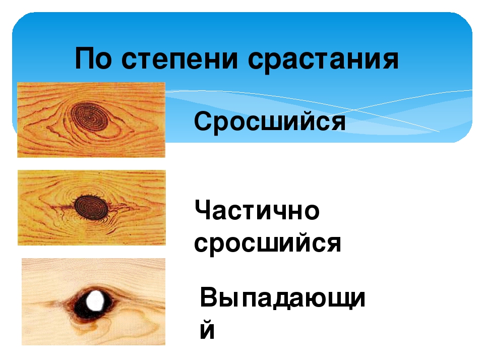 Состояние древесины. Пороки древесины на шпоне. Пороки древесины по сортам. Сросшийся здоровый порок древесины. Пороки древесины Лапчатый.