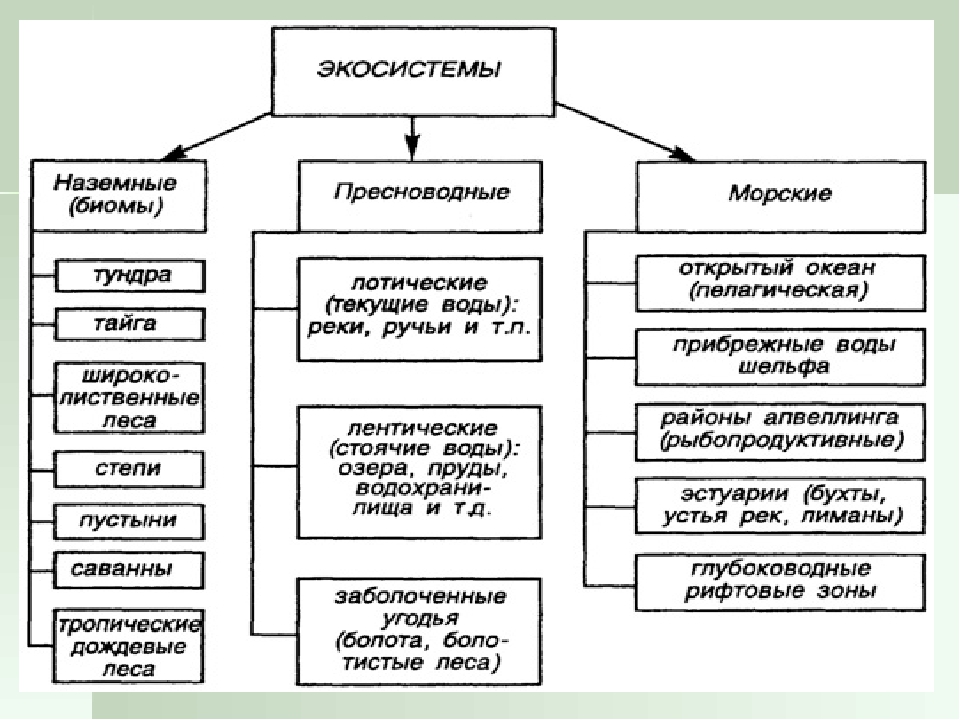 Классификация наземных экосистем схема. Типы экологических систем таблица. Основные типы экосистем и их характеристики. Основные типы экосистем наземные экосистемы. Природные экосистемы 11 класс