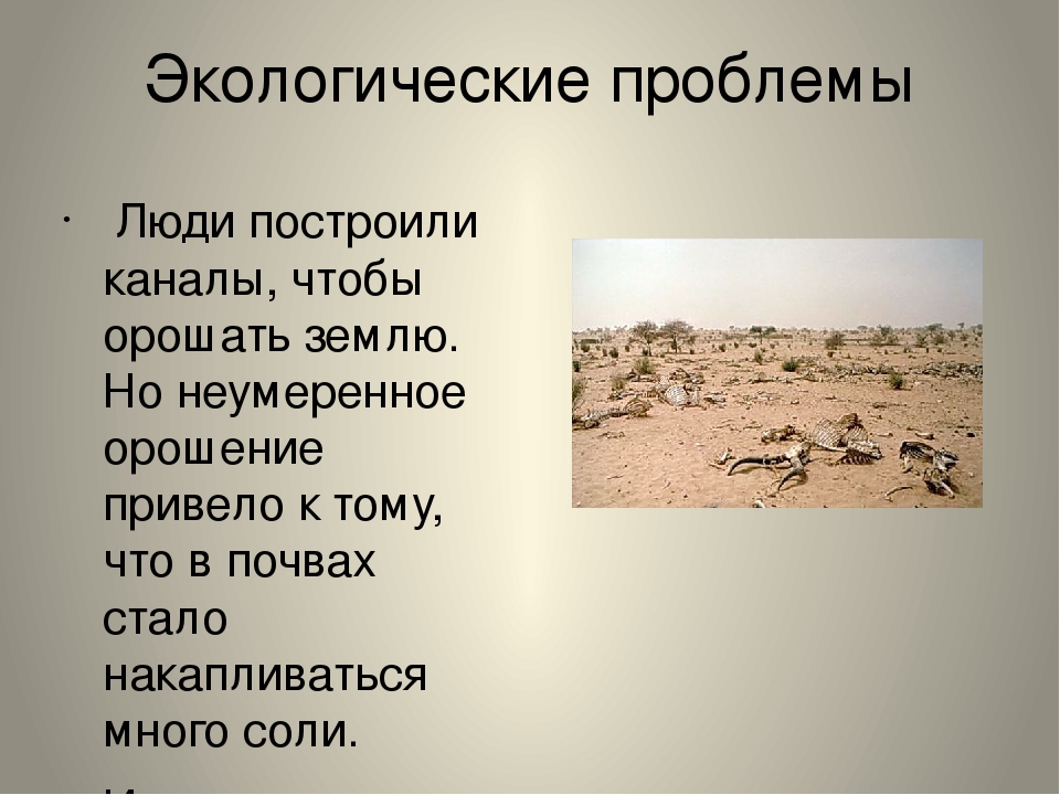 Как ведут хозяйство в пустыне. Экологические проблемы пустыни. Экологические проблемы зоны пустынь. Экологические проблемы пустыни России. Экология в пустыне.