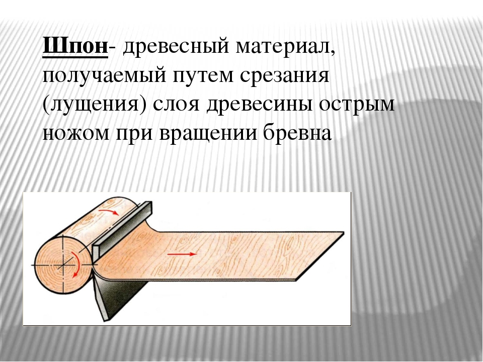 Производство древесины 5 класс технология. Что такое шпон 5 класс технология. Пиломатериалы технология 5 класс шпона. Тонкий слой древесины. Древесный материал получаемый из шпона.