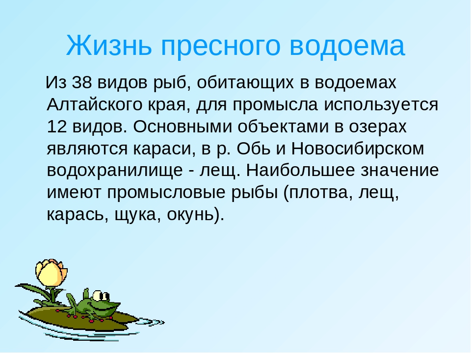 Презентация пресных вод. Жизнь в пресной воде. Сообщение жизнь в пресных Водах. Жизнь в пресных ЛЬДАХХ. Жизнь в пресных Водах 4 класс.