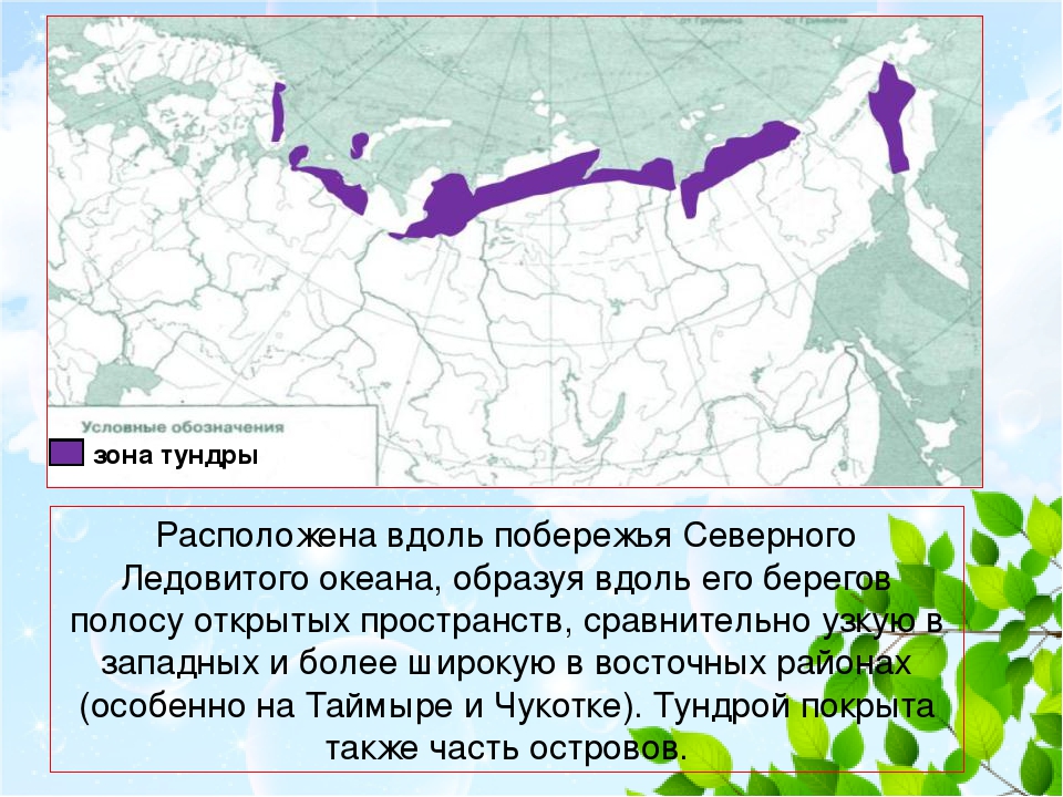 Зона тундр располагается на севере россии. Тундра на карте России природных зон 4 класс. Где располагается тундра в России на карте. Тундра на карте России. Зона тундры на карте России.