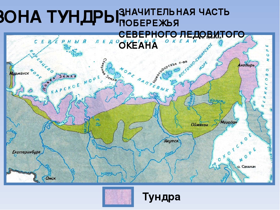 Зона тундр располагается на севере россии. Зона тундры 4 класс окружающий мир на карте. Зона тундры на карте России 4 класс. Природные зоны Российской Федерации тундра. Расположение тундры на карте России.