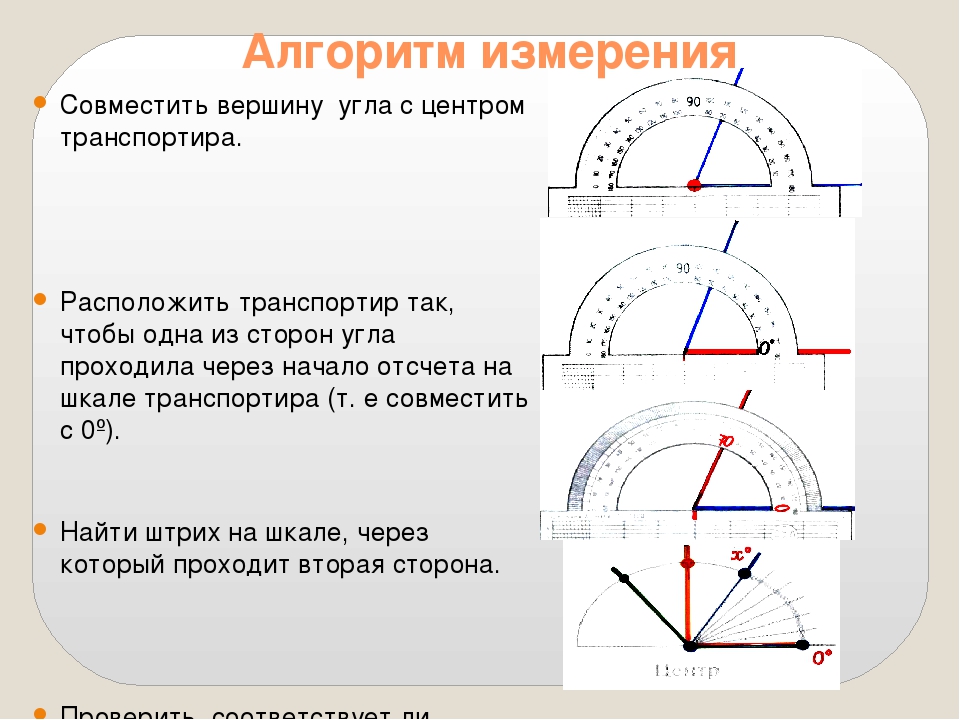 Измерение углов транспортиром. Алгоритм измерения углов. Построение и измерение углов. Построение и измерение углов транспортиром. Построение углов с помощью транспортира.