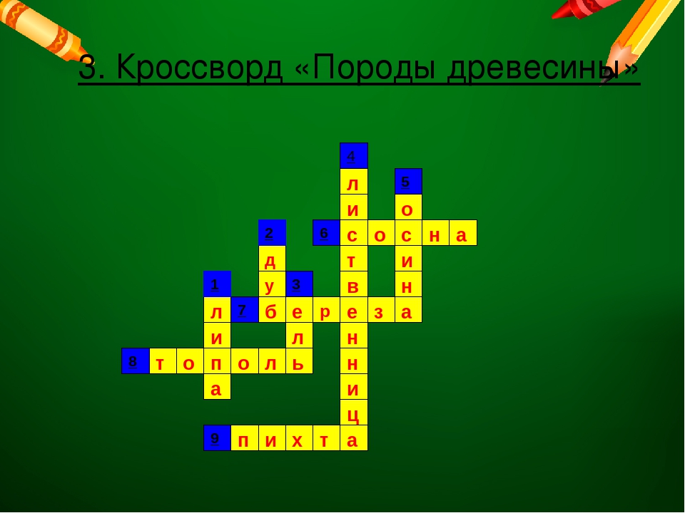 Древесина сканворд. Кроссворд по технологии. Кроссворд породы древесины. Кроссворд на тему древесина. Кроссворд по технологии 5 класс.