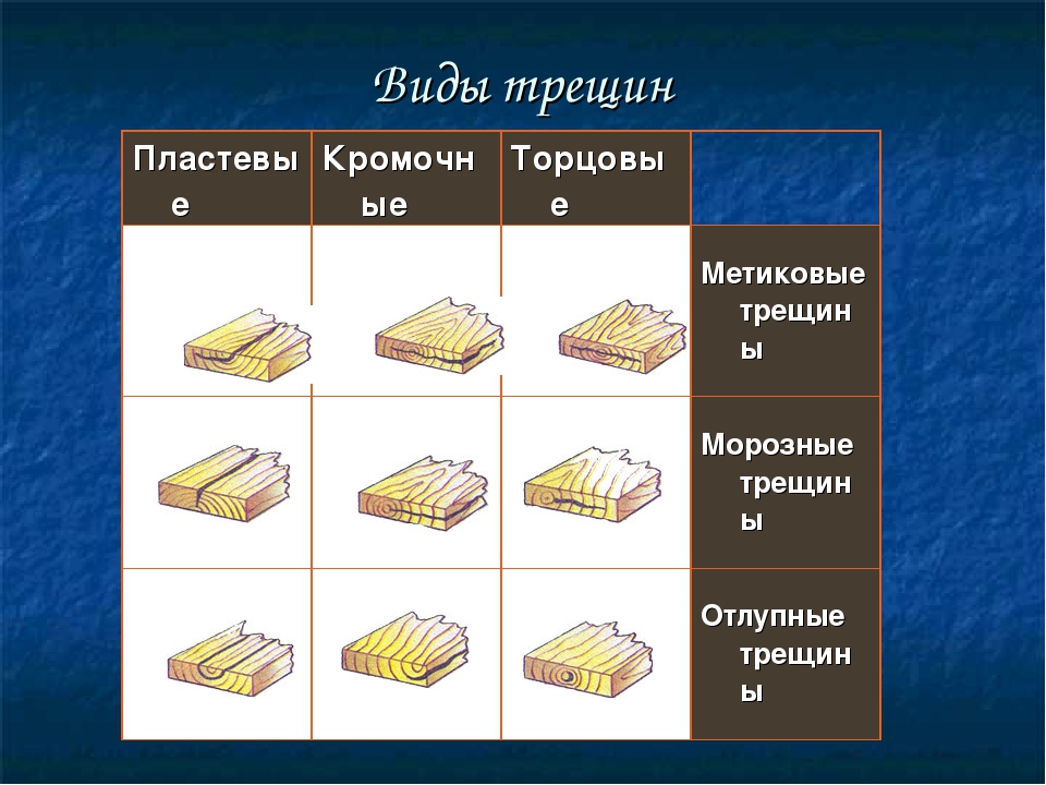 Пороки древесины виды. Пластевые трещины древесины. Классификация трещин в древесине. Пластевые и кромочные трещины это. Пластевые сквозные трещины.