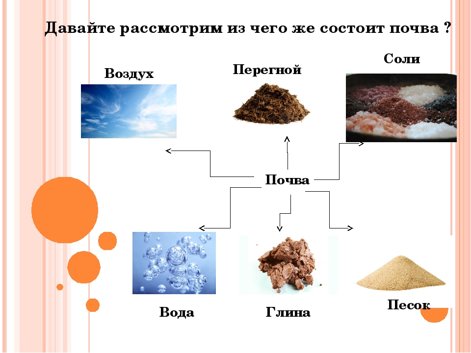 Химическая организация неживой природы. Из чего состоит почва. Иза чего состоит почва. Песок и глина минеральная часть почвы. Почва состоит из песка глины.