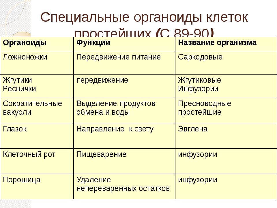 Процессы органоидов. Органоиды специального назначения строение и функции. Органеллы специального назначения строение и функции. Специальные органоиды клетки таблица. Органоиды специального назначения одноклеточных.