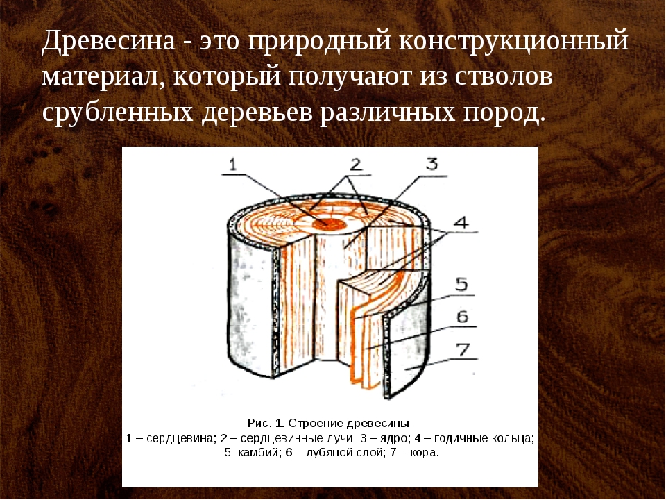 Древесина урок 5 класс. Древесина конструкционный материал. Пороки древесины 6 класс. Древесина 6 класс. Заготовка древесины пороки древесины.