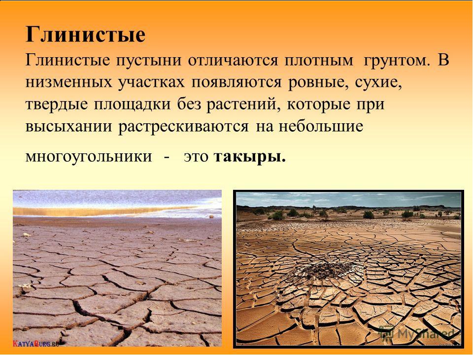 Пустыни природная зона почва. Почвы пустыни России глинистые. Глинистые пустыни описание. Пустыни бывают песчаные и глинистые. Глиняная пустыня в России.