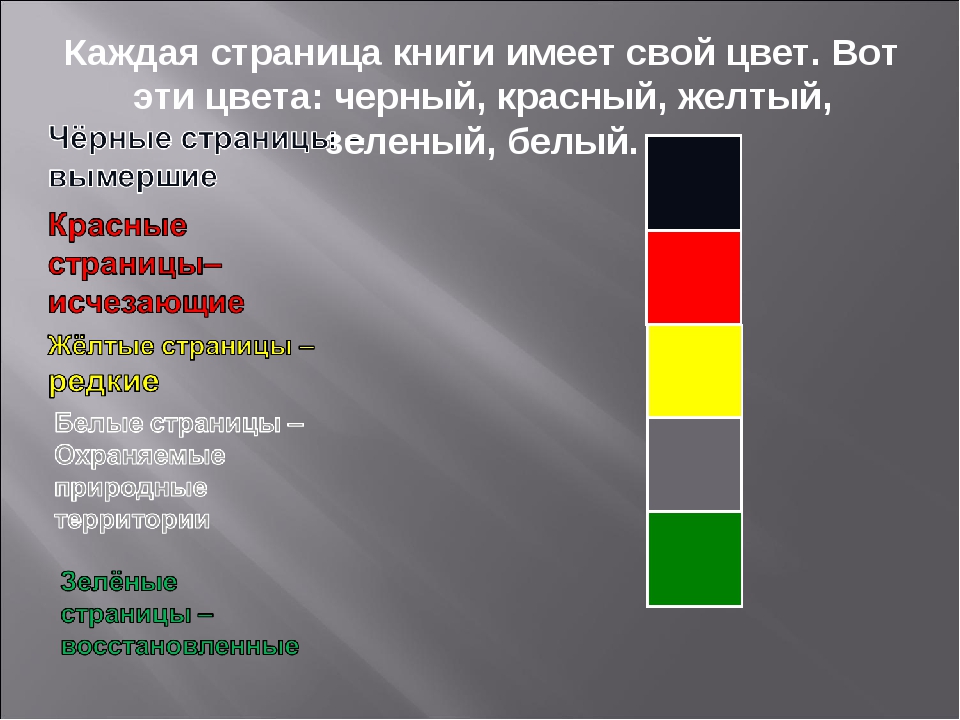 Красный желтый зеленый презентация