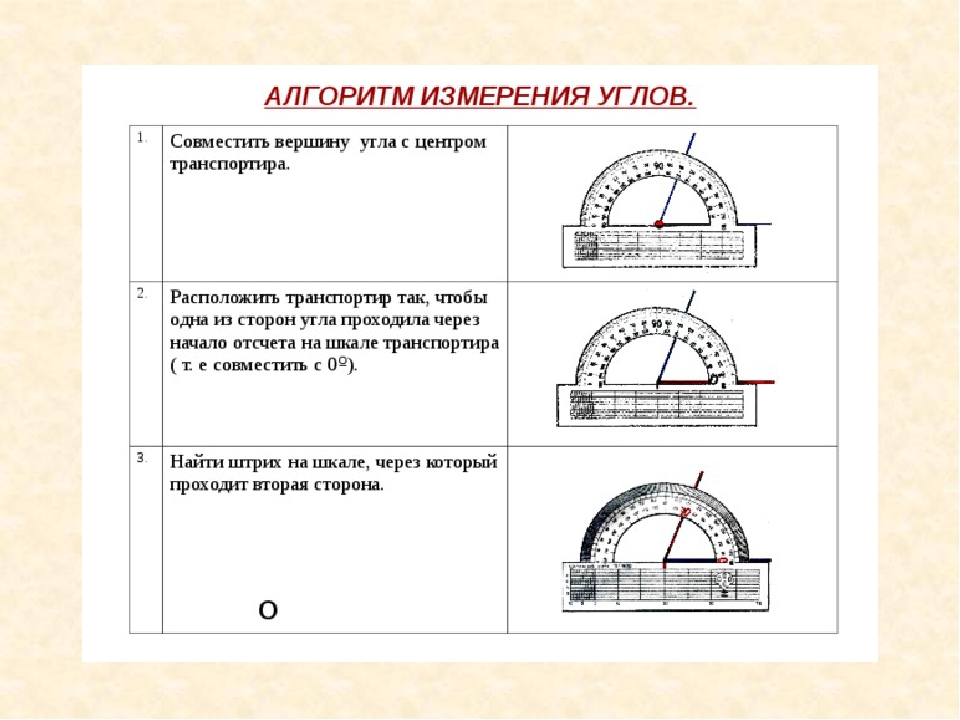 С помощью транспортира и масштабной линейки начертите. Алгоритм измерения углов транспортиром. Измерить углы транспортиром 5 класс. Измерение величины углов с помощью транспортира. Алгоритм измерения углов 5 класс.