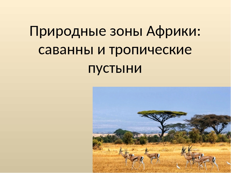 План описания природной зоны саванна 7 класс