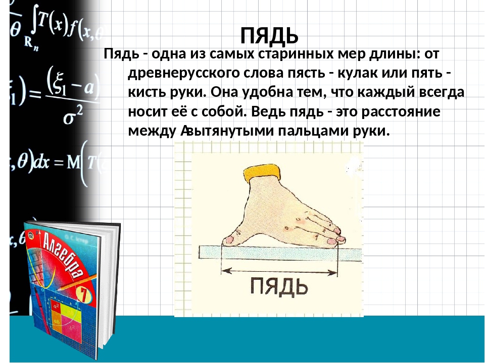 Проект по математике 5 класс мера длины