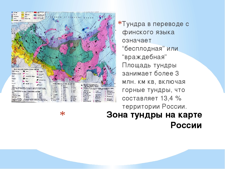 Зона тундры расположена. Распространение тундровой зоны России. Тундра на карте природных зон мира. Зона тундры на карте России. Тундра России на карте России.