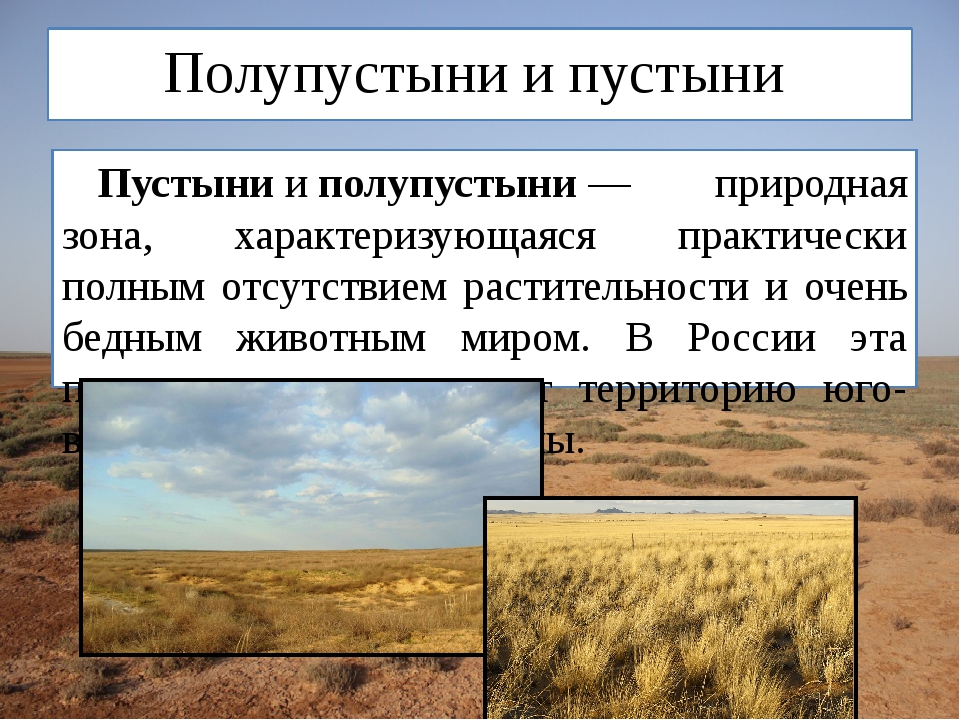 География 6 класс проект природные зоны