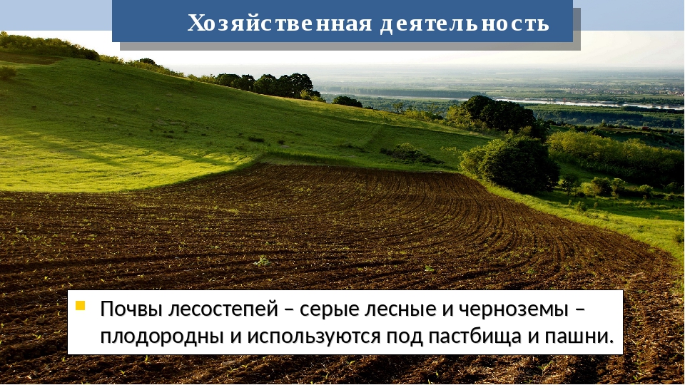 Природные ресурсы лесостепи и степи. Хозяйственная деятельность лесостепи и степи. Почвы лесостепи. Почвы лесостепи в России. Лесостепи и степи почва.