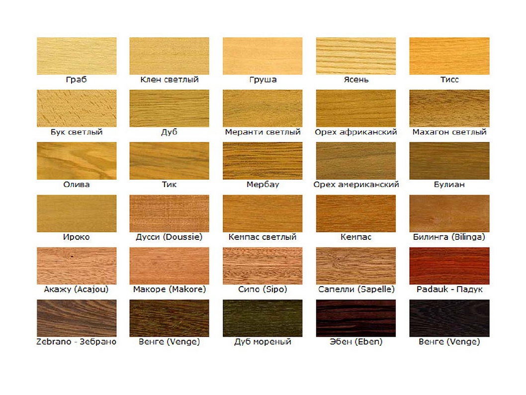 Теплый цвет дерева. Разные цвета древесины. Цвет различных пород дерева. Образцы пород древесины. Образцы древесины разных пород.