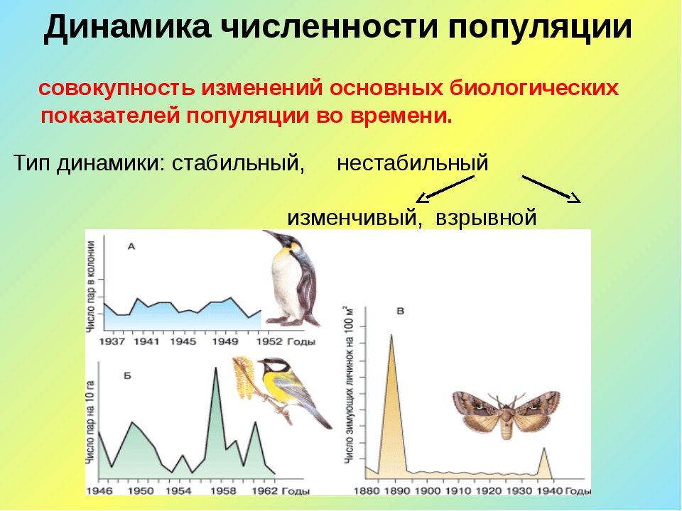 Типы динамики. Динамика численности популяции. Показатели динамики численности популяции. Изменение численности популяции. Динамика роста численности популяции.