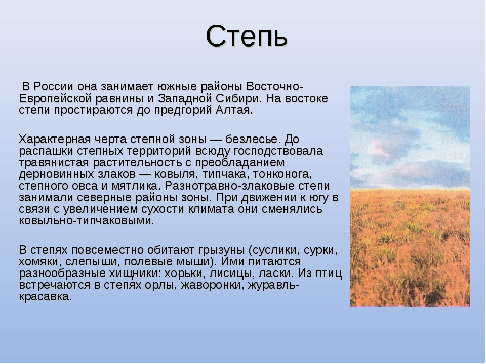 Какие территории россии занимает зона степи. Описание зоны степей. Характеристика степи. Природная зона степь описание. Доклад про степь.