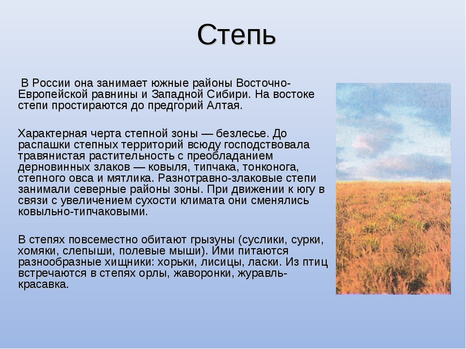 Найдите слово не относящееся к характеристике степи. Описание зоны степей. Характеристика степи. Природная зона степь описание. Доклад про степь.