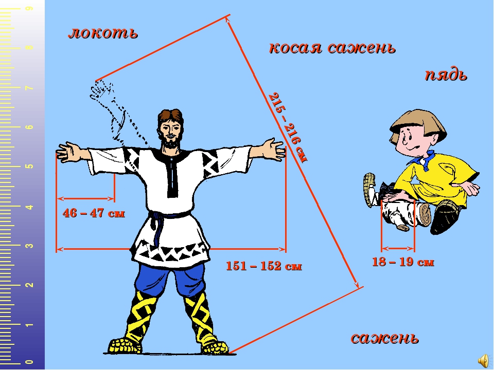 Косая сажень в плечах это сколько в сантиметрах