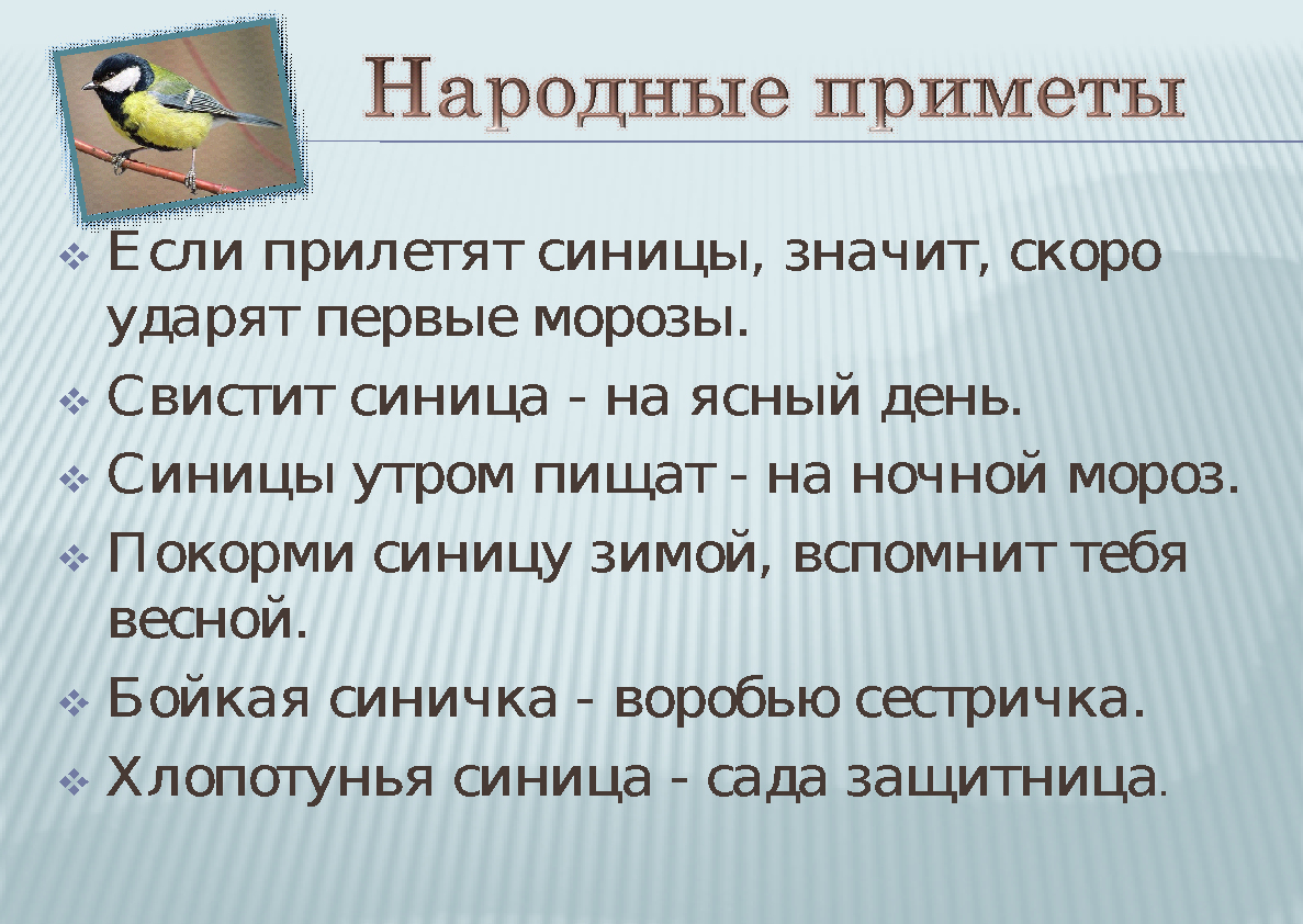 Примета птичий. Презентация Синичкин день в детском. Шаблон для презентации Синичкин день. Синичкин день задания для дошкольников. Приметы про птиц