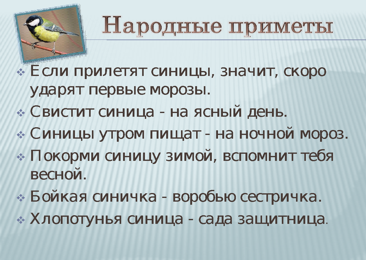 Какая примета если птица залетела. Презентация Синичкин день в детском. Шаблон для презентации Синичкин день. Синичкин день задания для дошкольников. Приметы про птиц.